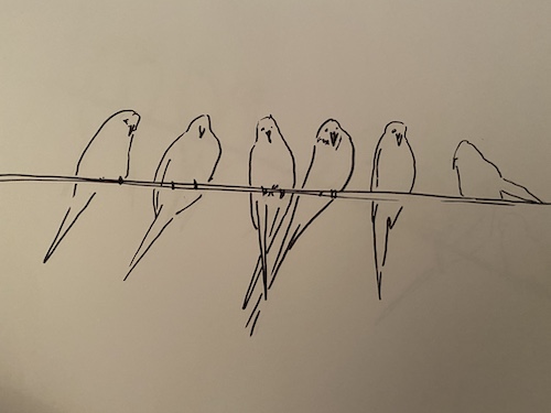 Quick Pen and Ink Sketches of Birds