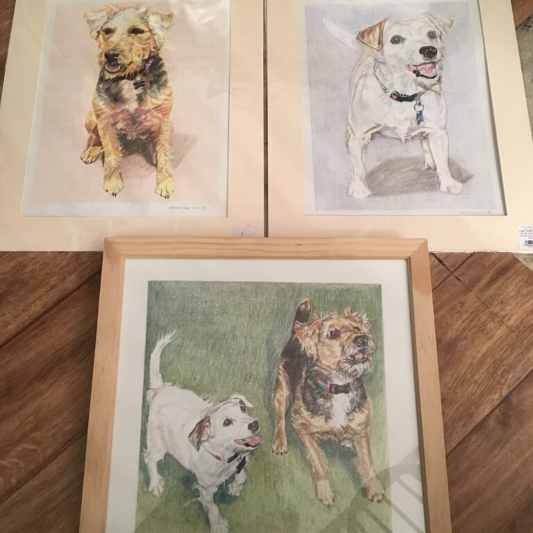 Framing At The Studio