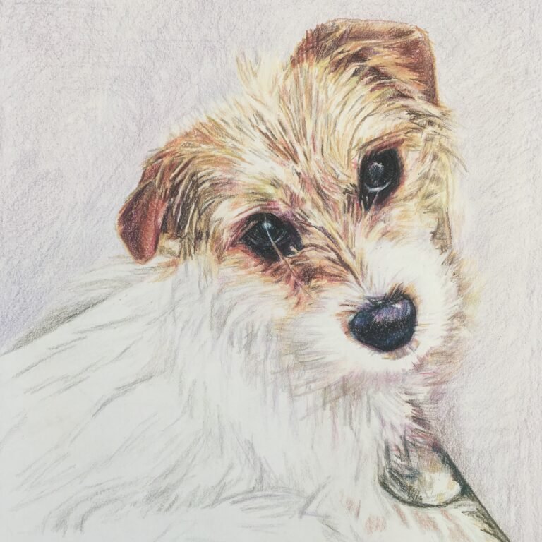 Meet Minnie The Greek Pup!