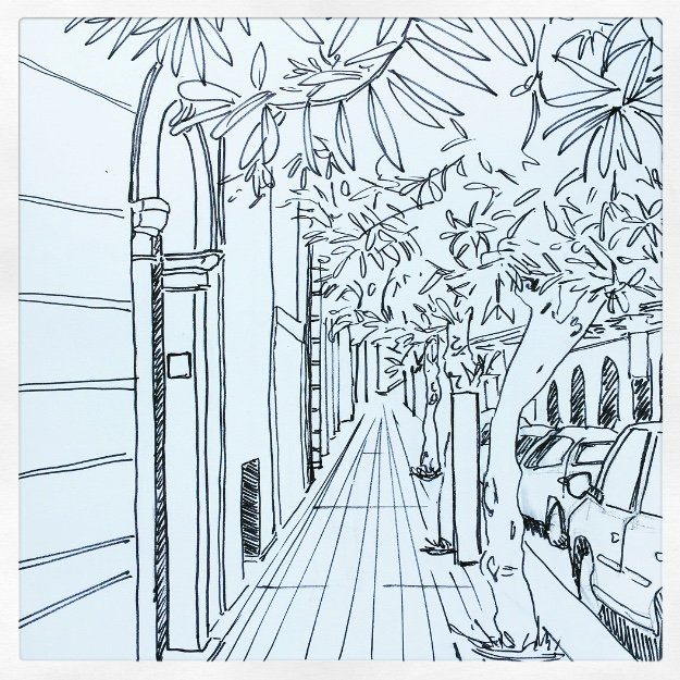 Sunbaked Date Trees In Ostuni — Sophie Nicoll