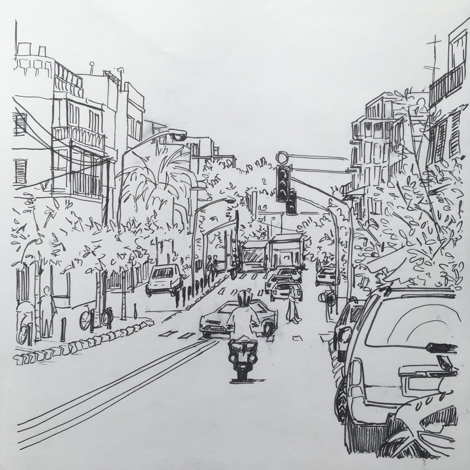 On the Road to Jaffa — Sophie Nicoll