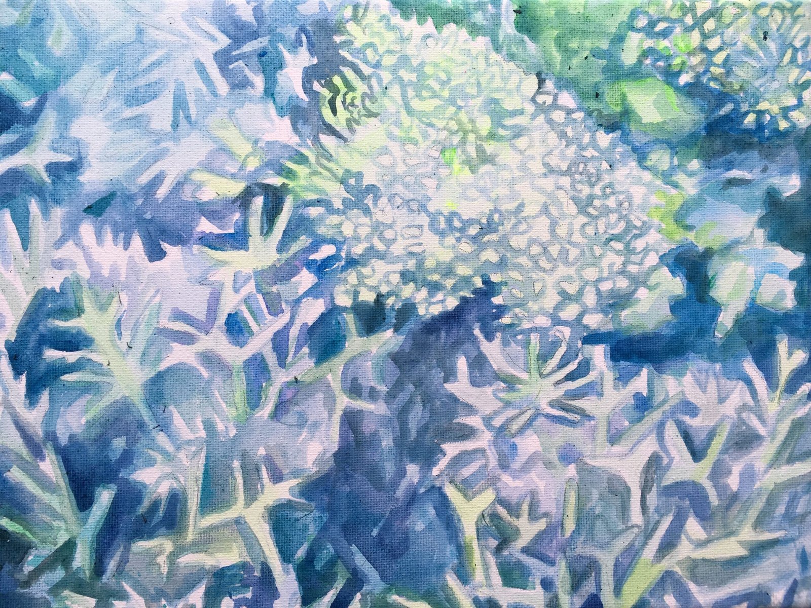 My Underwater Universe — Sophie Nicoll