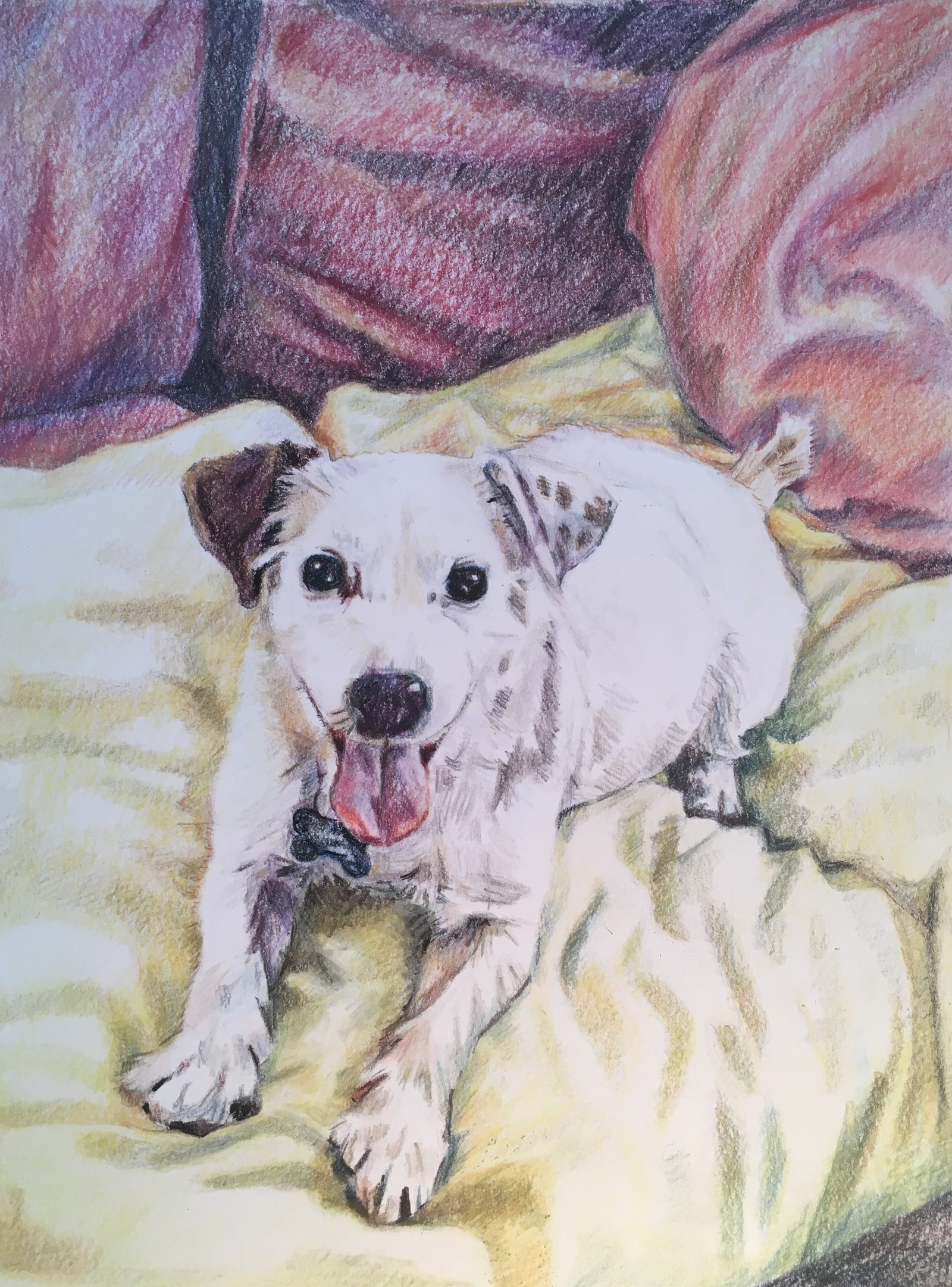 Poppy the Dog — Sophie Nicoll